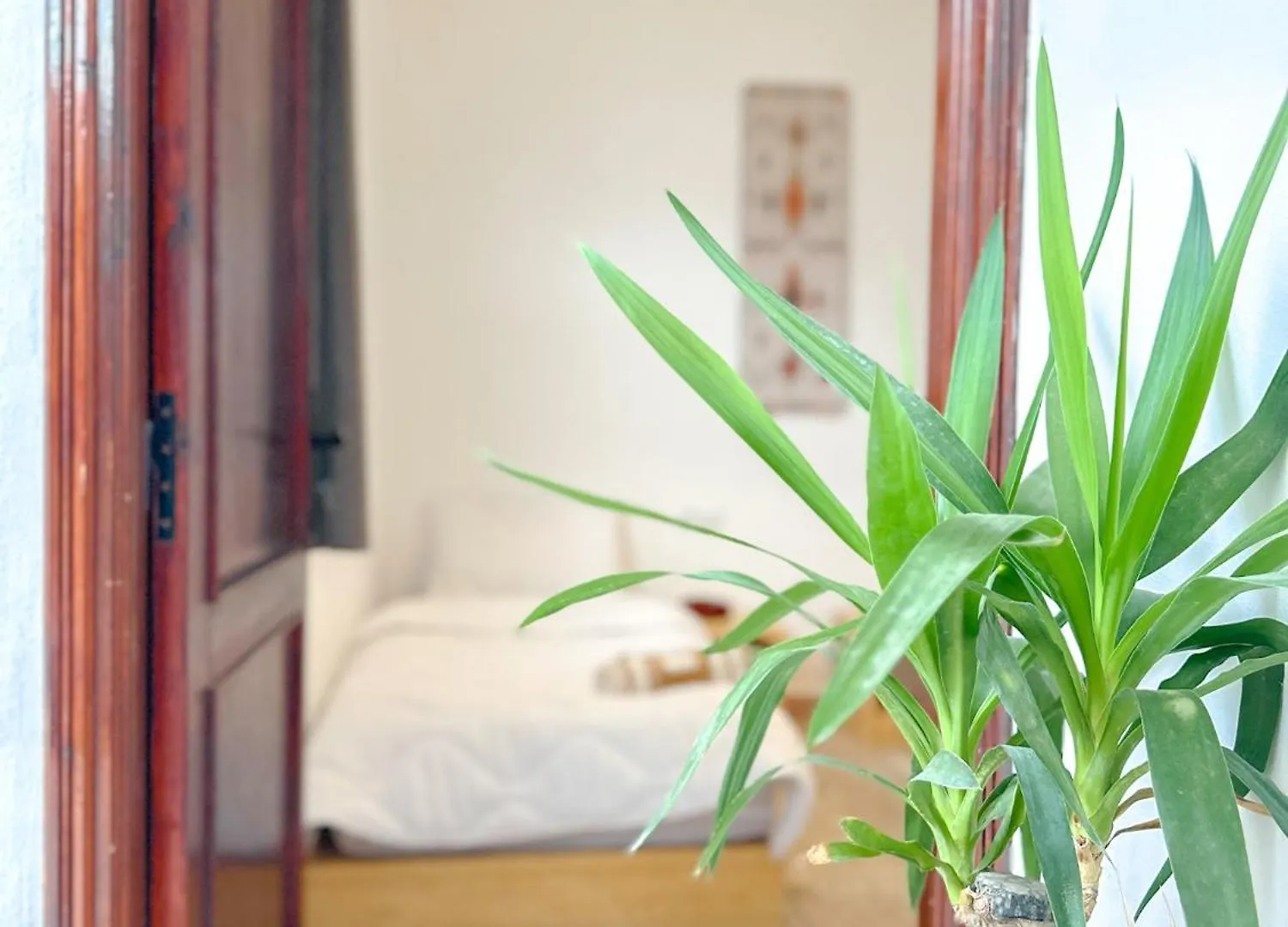 Eco Bay Surf House Bed & Breakfast Tamraght Morocco