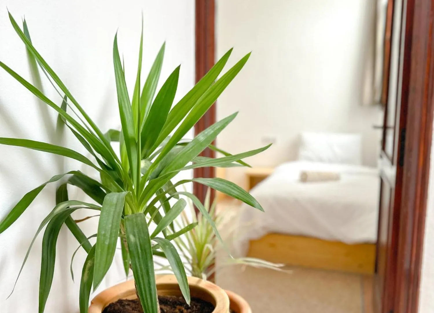 Eco Bay Surf House Bed & Breakfast Tamraght
