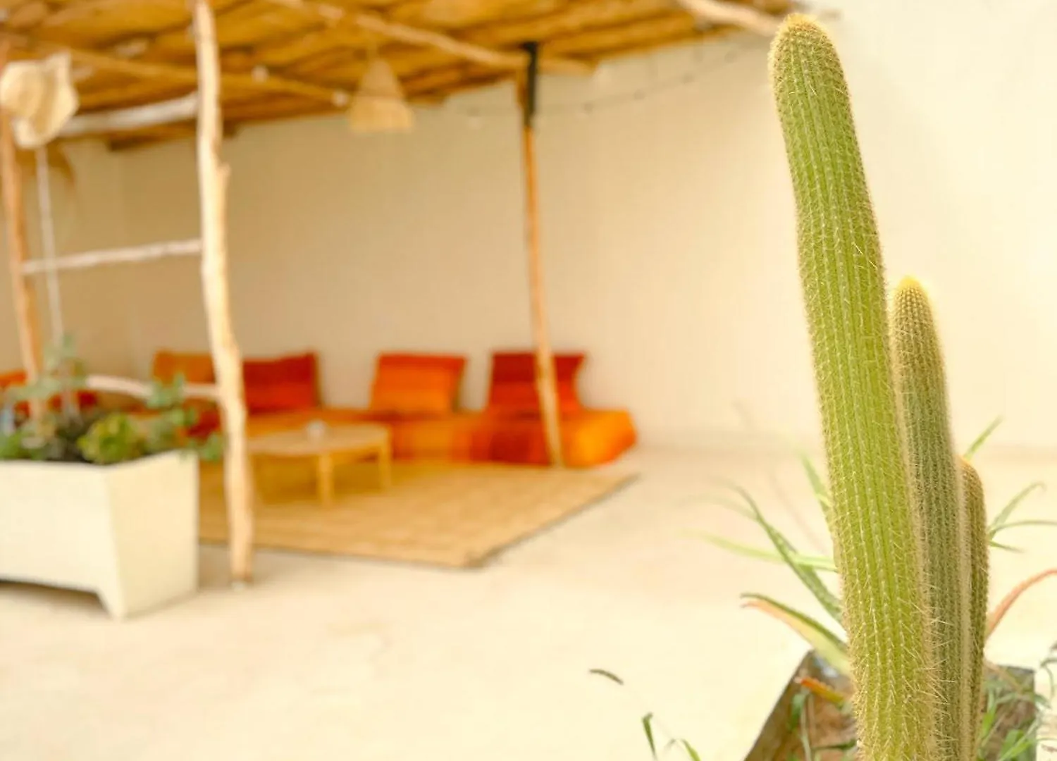 Eco Bay Surf House Bed & Breakfast Tamraght Morocco
