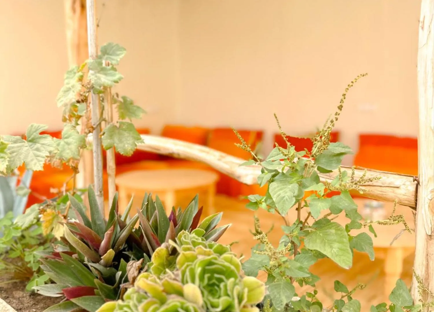 Eco Bay Surf House Bed & Breakfast Tamraght